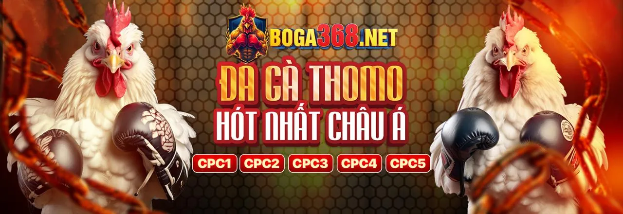 Hình ảnh đại diện cho Điều khoản Dịch vụ của vuabai9 đá gà, thể hiện sự minh bạch và công bằng trong cá cược đá gà trực tuyến và các trò chơi khác.
